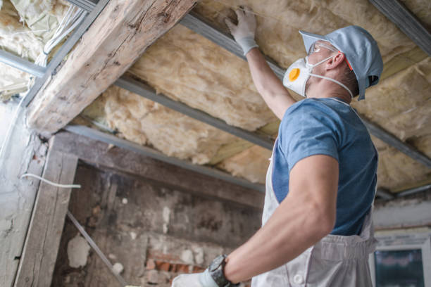 Best Insulation Contractors for Homes  in Prieton, NC