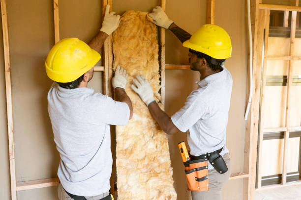Best Energy-efficient Insulation  in Prieton, NC