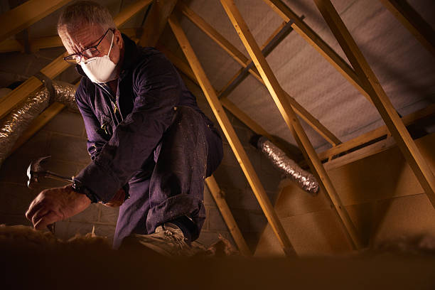 Best Cellulose Insulation  in Prieton, NC