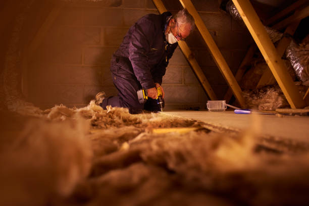 Best Attic Insulation Installation  in Prieton, NC